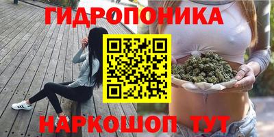 дживик Балахна