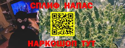 дживик Балахна