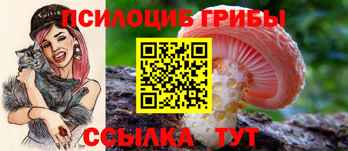 Белая Калитва  Псилоцибиновые грибы Magic Shrooms  где купить наркоту  Вход с VPN 