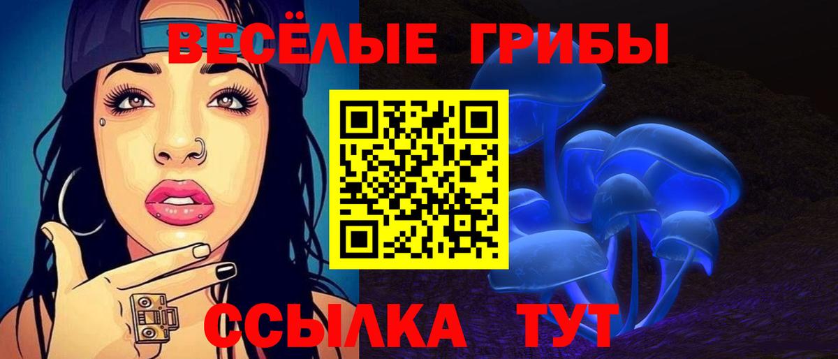 Галлюциногенные грибы прущие грибы Белая Калитва